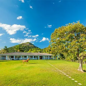 https://eumundi-mountain-retreat.queenslandhotels.net